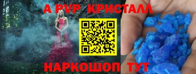 хмурый Кингисепп