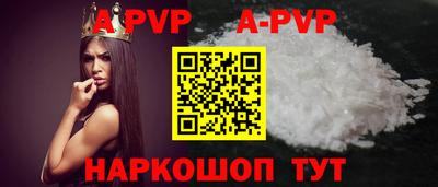 хмурый Кингисепп