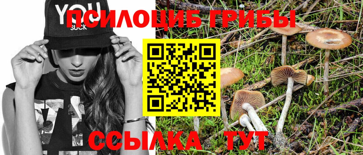 Псилоцибиновые грибы Magic Shrooms  Вход с VPN  даркнет сайт  Псилоцибиновые грибы прущие грибы  Валуйки 