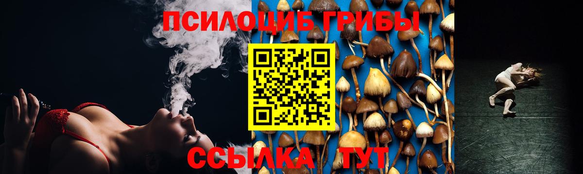 Галлюциногенные грибы мицелий Валуйки